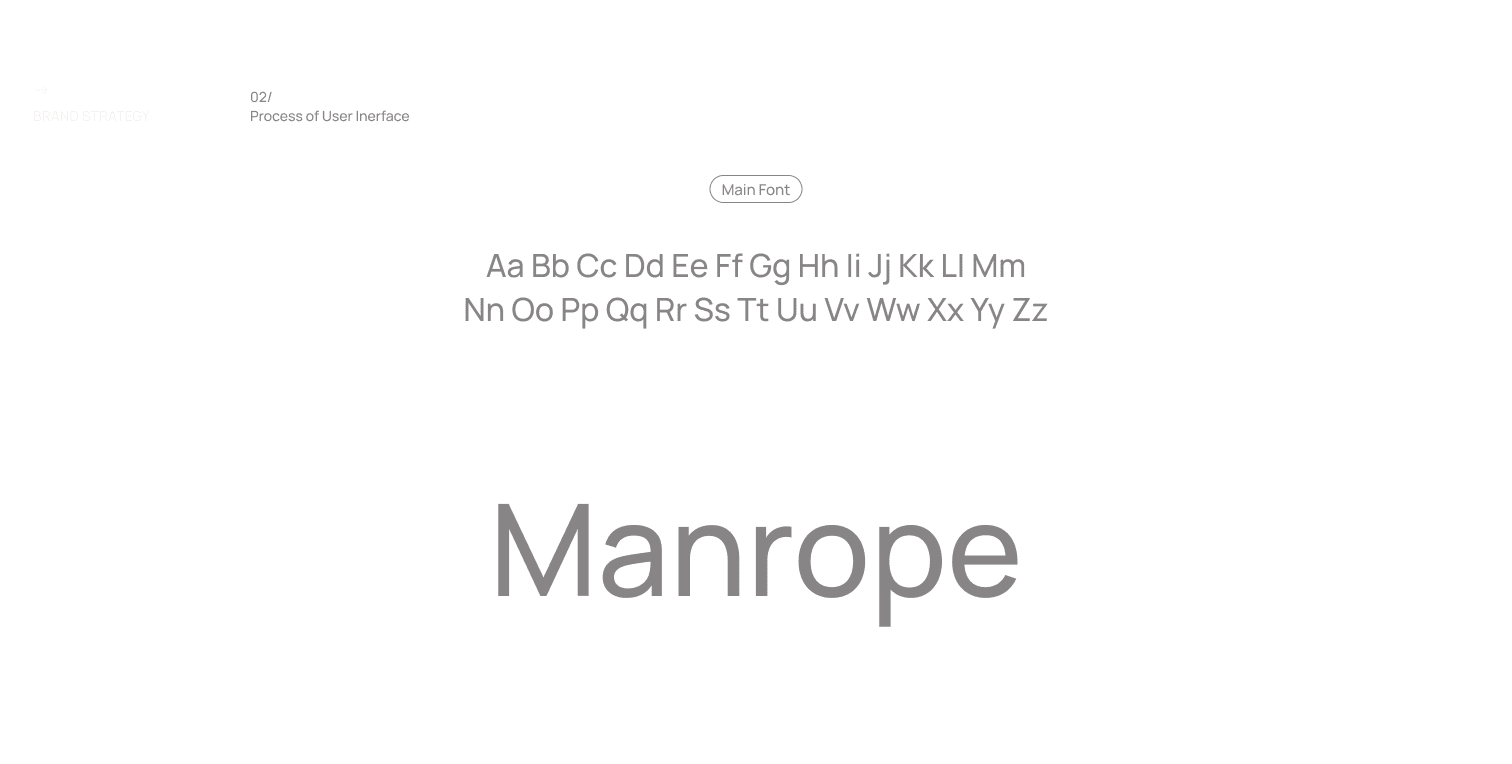 Manrope, set as the interface face